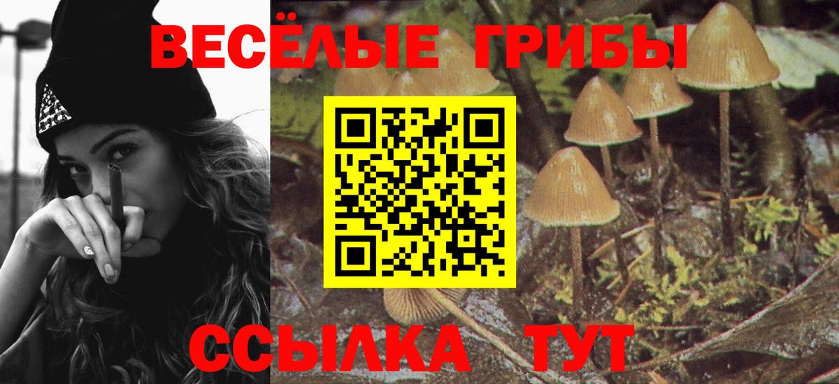 Псилоцибиновые грибы MAGIC MUSHROOMS Пенза