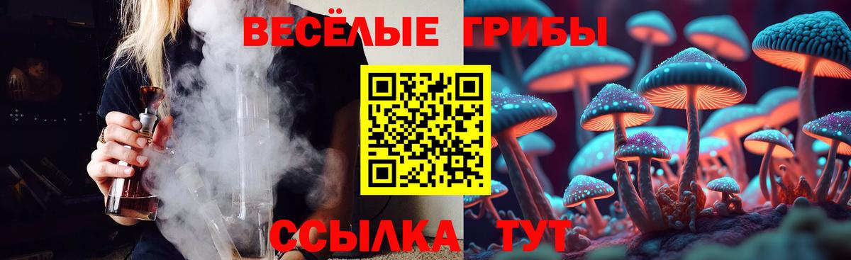 Псилоцибиновые грибы ЛСД  Вход с VPN  Пенза 